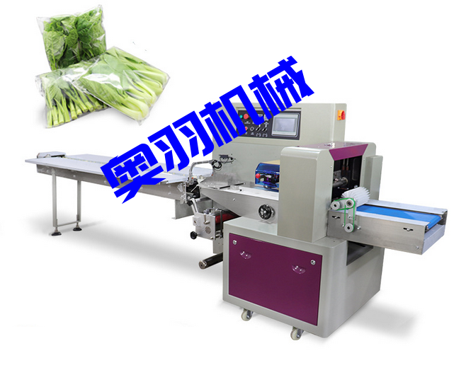 AY-250X全自動三伺服枕式包裝機(jī)